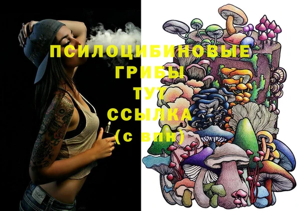 таблы Арсеньев