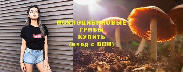 СК Алзамай