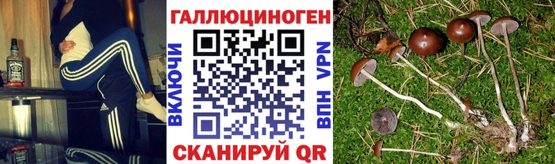 цена наркотик Усмань Галлюциногенные грибы Psilocybine cubensis