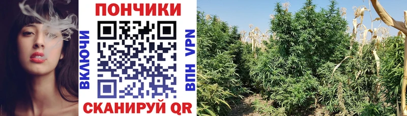 закладки  Усмань  МАРИХУАНА планчик 